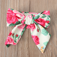uploads/erp/collection/images/Baby Clothing/xuannaier/XU0413845/img_b/img_b_XU0413845_4_FBKGIulOQwo8rP1zDdpjdxjWBZCxRpIt